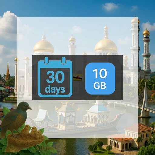 Brunei Darussalam 10GB 30Days