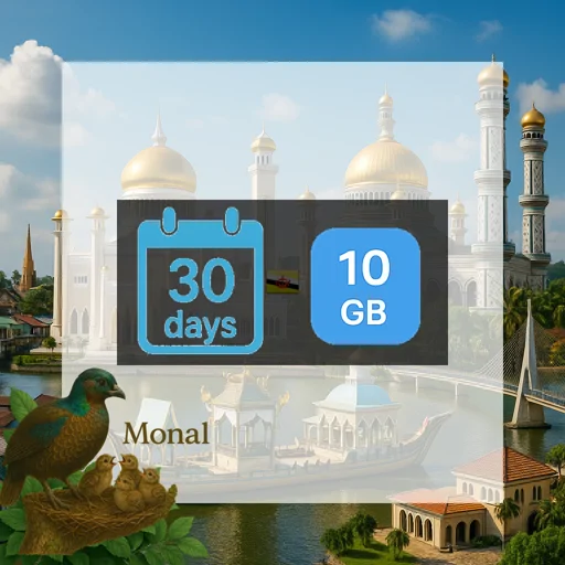Brunei Darussalam 10GB 30Days