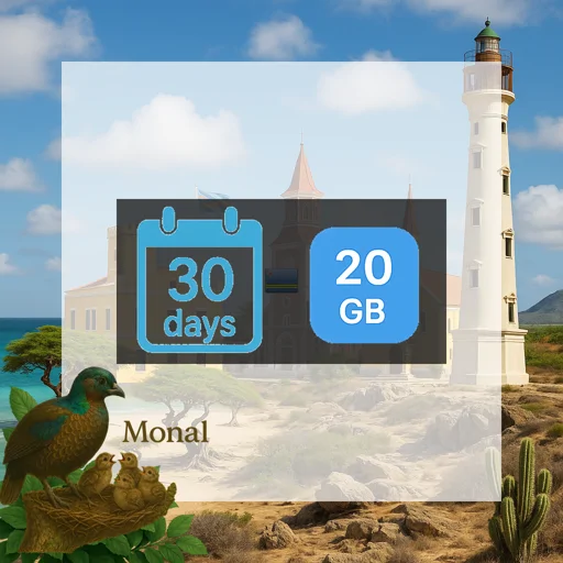 Aruba 20GB 30Days
