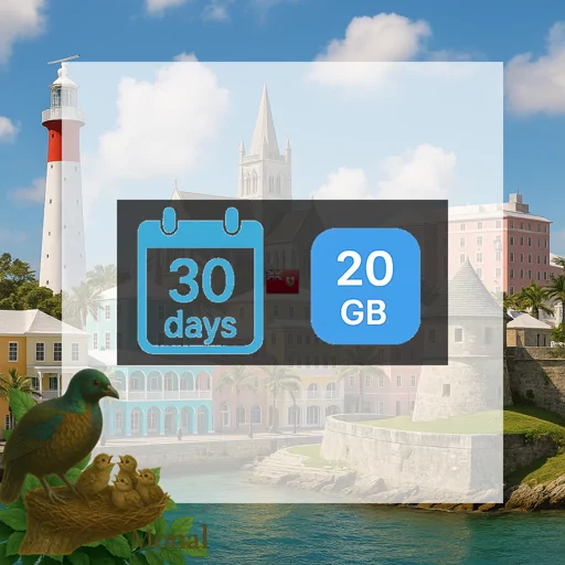 Bermuda 20GB 30Days