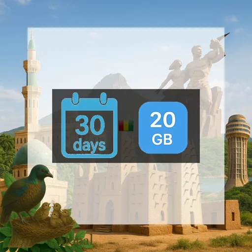 Guinea 20GB 30Days