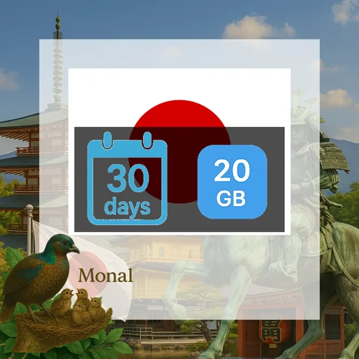 Japan 20GB 30Days (IIJ)