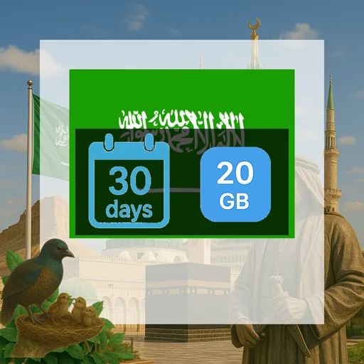 Saudi Arabia 20GB 30Days