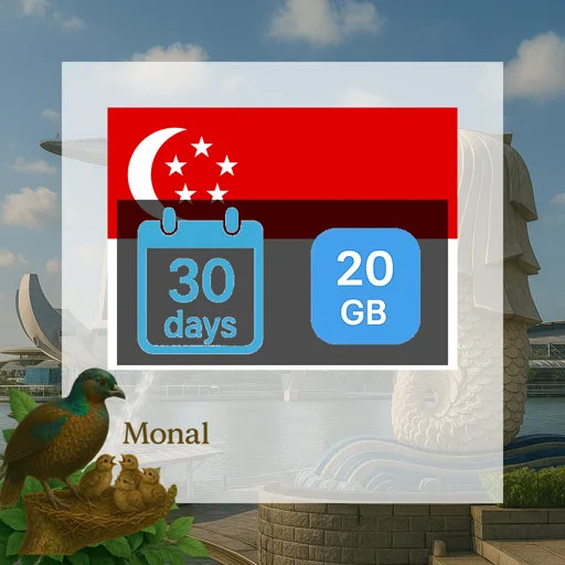 Singapore 20GB 30Days