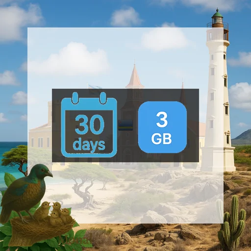 Aruba 3GB 30Days
