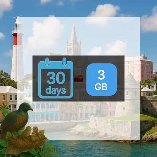 Bermuda 3GB 30Days