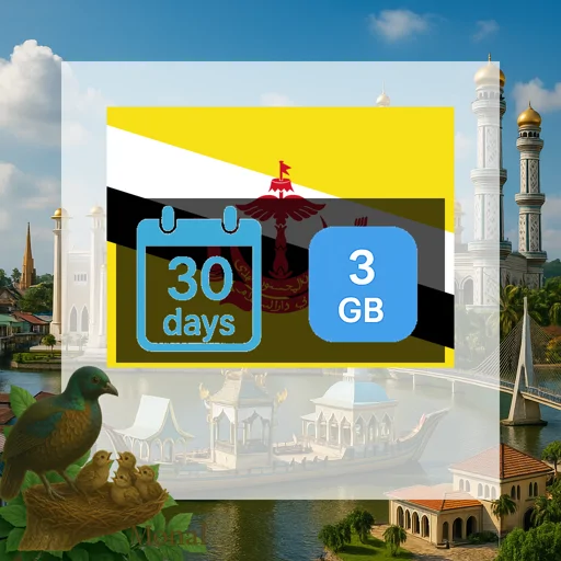 Brunei Darussalam 3GB 30Days
