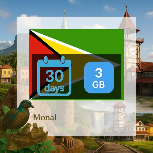 Guyana 3GB 30Days