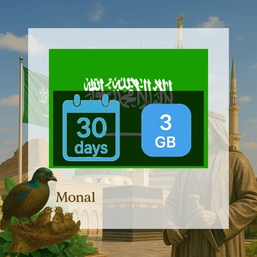 Saudi Arabia 3GB 30Days