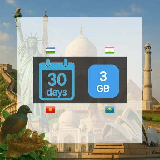 Central Asia (4 areas) 3GB 30Days