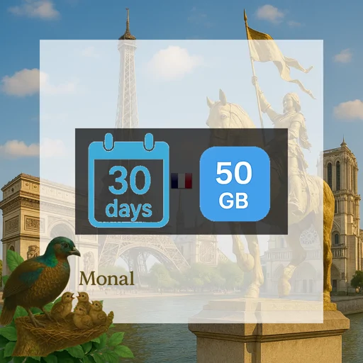 France 50GB 30Days