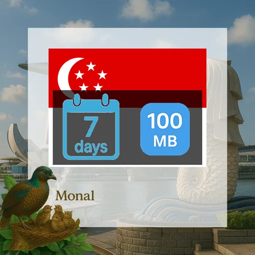 Singapore 100MB 7Days