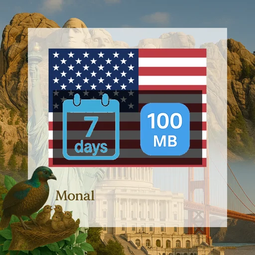 United States 100MB 7Days