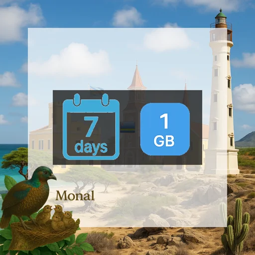 Aruba 1GB 7Days