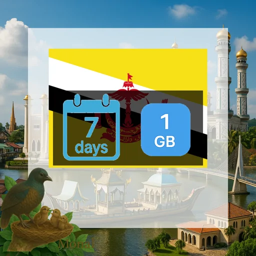 Brunei Darussalam 1GB 7Days