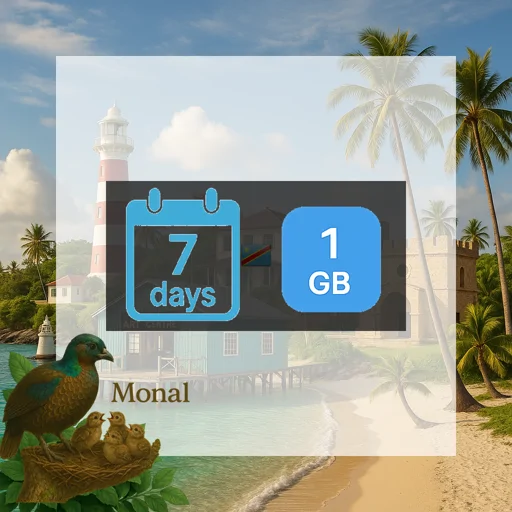 Democratic Republic of the Congo 1GB 7Days