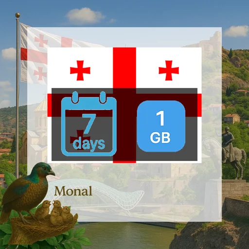 Georgia 1GB 7Days
