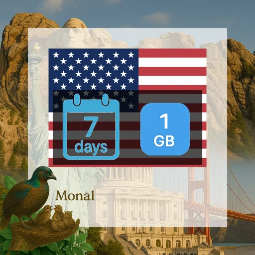United States 1GB 7Days (USIP)