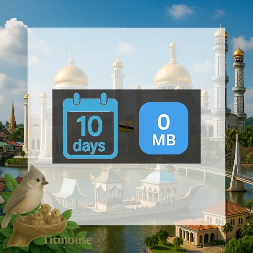 Brunei - Unlimited - 10 days