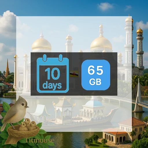 Brunei - Unlimited - 10 days