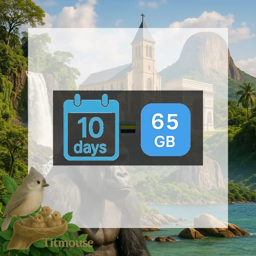 Gabon - Unlimited - 10 days