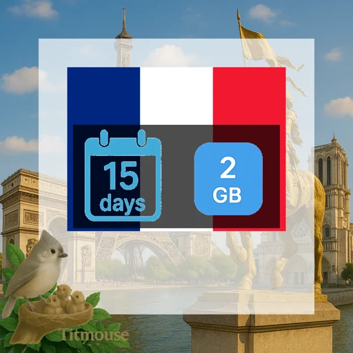 France - 2 GB - 15 Days