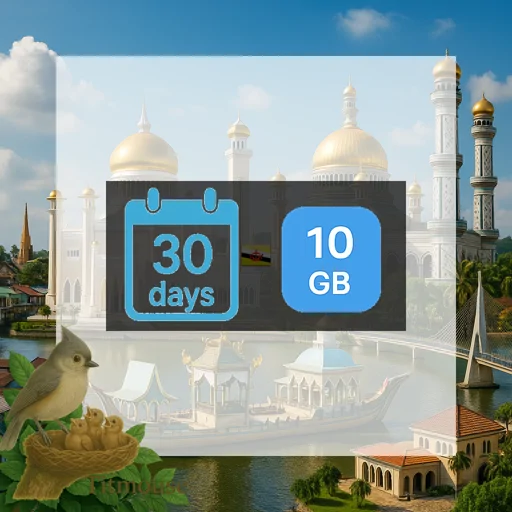Brunei - 10 GB - 30 days