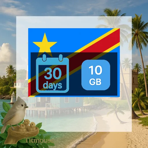 Democratic Republic Of The Congo - 10 GB - 30 Days
