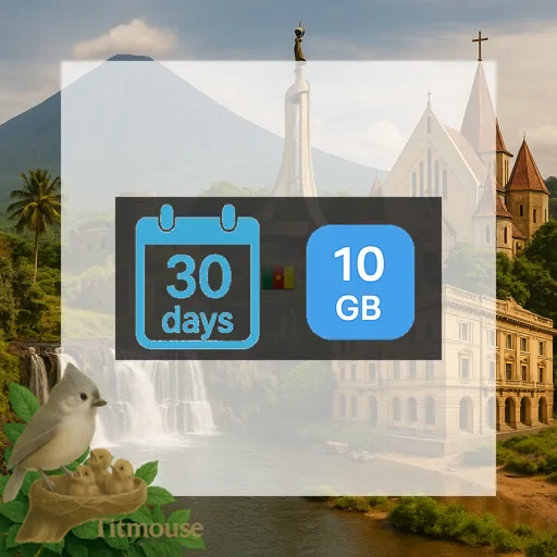 Cameroon - 10 GB - 30 Days