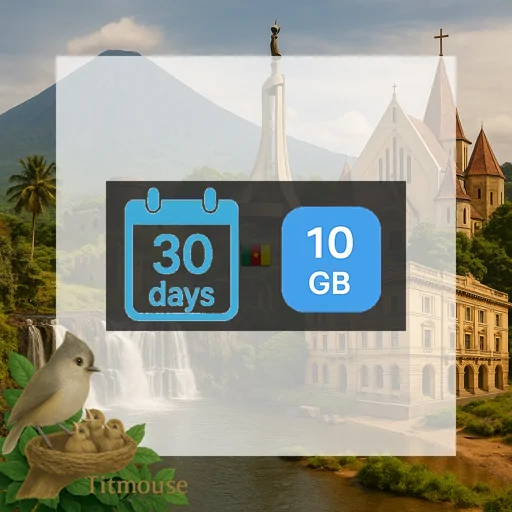 Cameroon - 10 GB - 30 Days