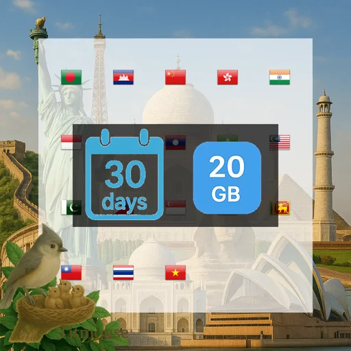 Asia - 20 GB - 30 days