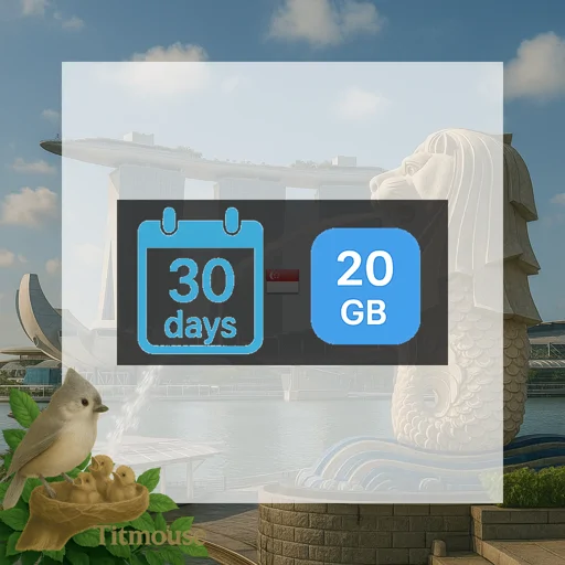 Singapore - 20 GB - 30 days