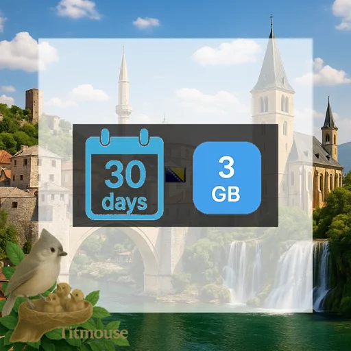 Bosnia and Herzegovina - 3 GB - 30 Days