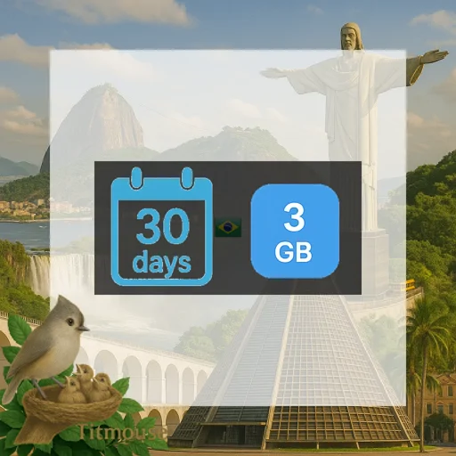 Brazil - 3 GB - 30 days