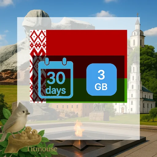 Belarus - 3 GB - 30 Days