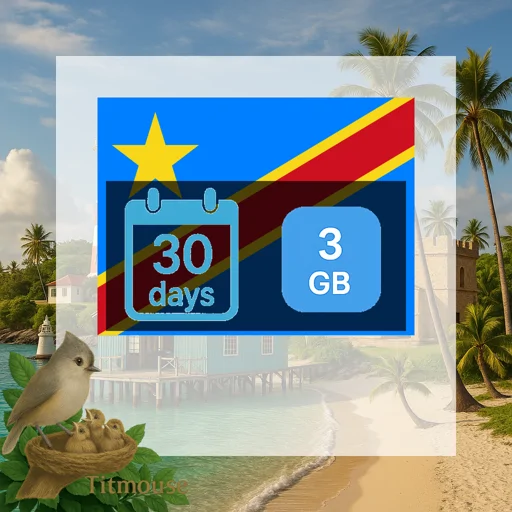 Democratic Republic Of The Congo - 3 GB - 30 Days