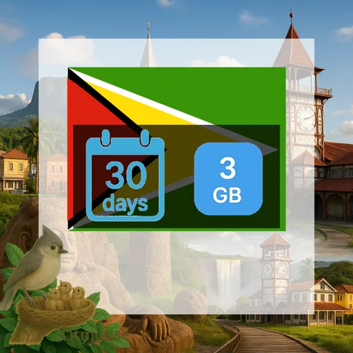 Guyana - 3 GB - 30 Days