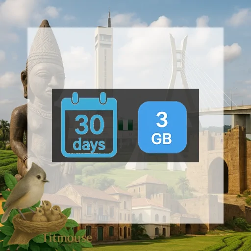 Nigeria - 3 GB - 30 Days