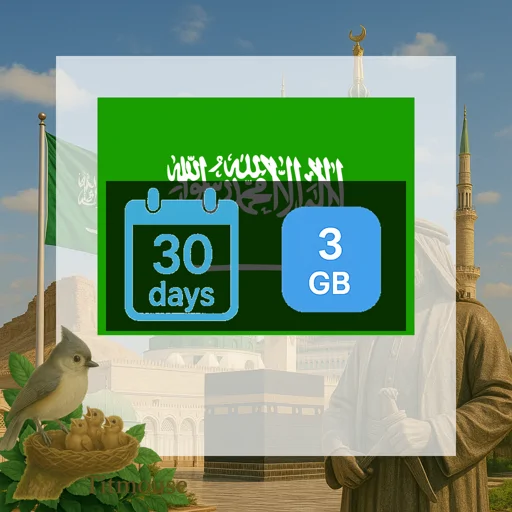 Saudi Arabia - 3 GB - 30 Days