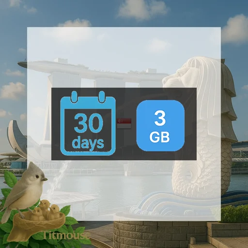 Singapore - 3 GB - 30 days