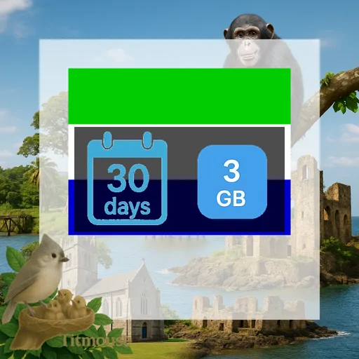 Sierra Leone - 3 GB - 30 Days