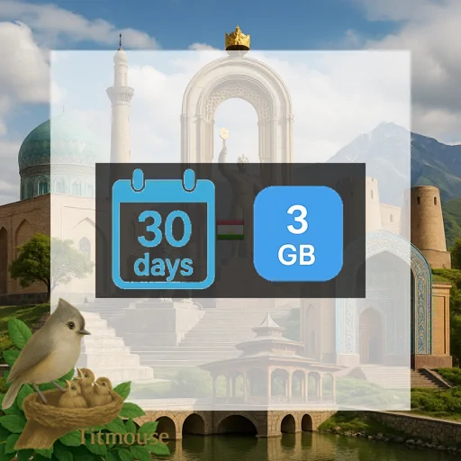 Tajikistan - 3 GB - 30 Days