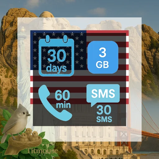 United States - 3 GB - 30 SMS - 60 Mins - 30 Days