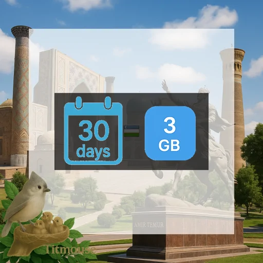 Uzbekistan - 3 GB - 30 days