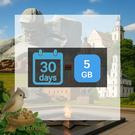Belarus - 5 GB - 30 days