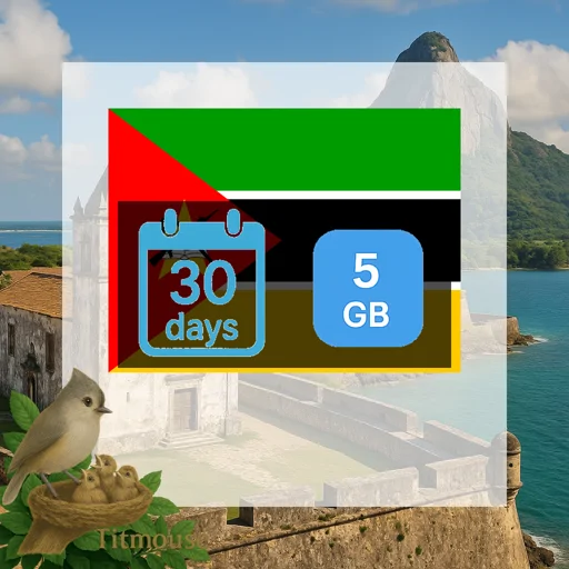 Mozambique - 5 GB - 30 Days