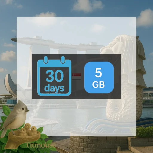 Singapore - 5 GB - 30 days