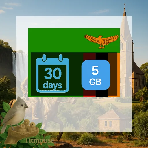 Zambia - 5 GB - 30 Days
