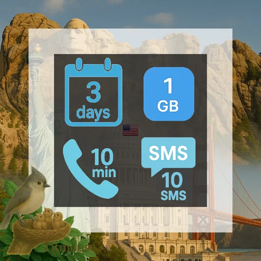 United States - 1 GB - 10 SMS - 10 Mins - 3 days