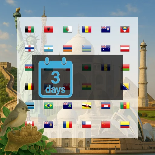 Discover Global - 250 MB - 3 days